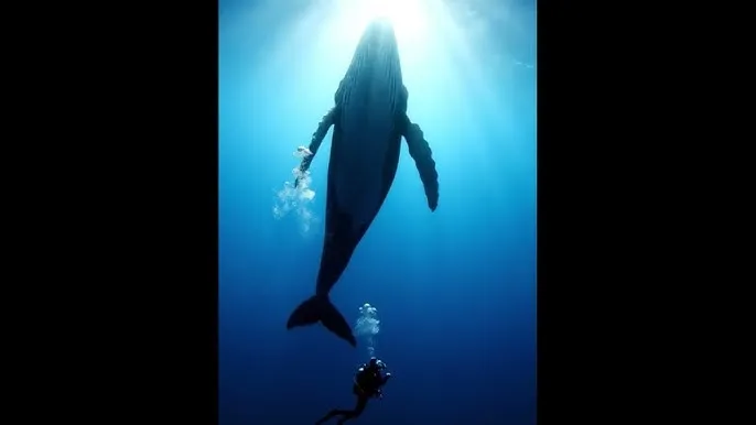 黄色游戏下载 - 深蓝星球：探索海洋深处的未知世界
